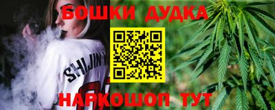 индика Обнинск
