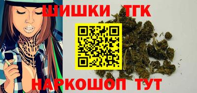 индика Обнинск